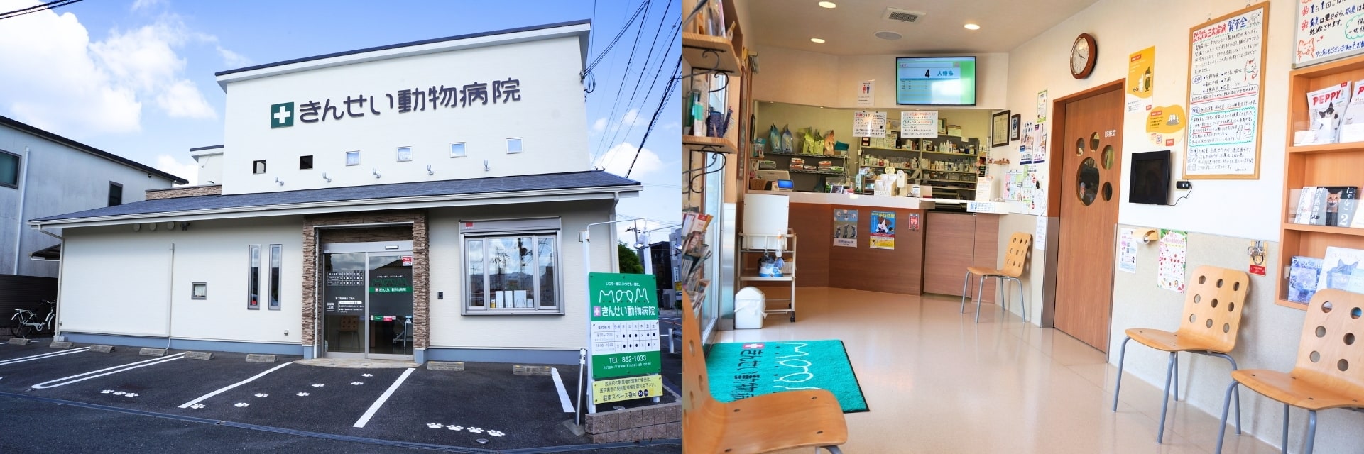 きんせい動物病院