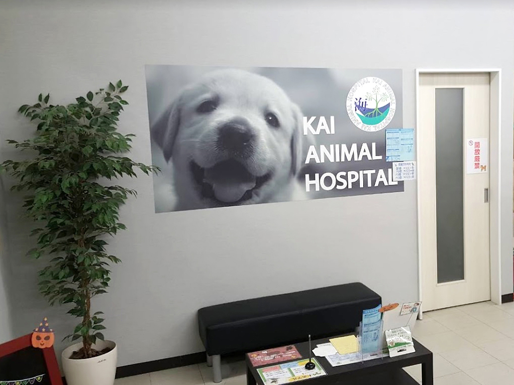 海動物病院　苫小牧往診所