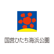 国営ひたち海浜公園