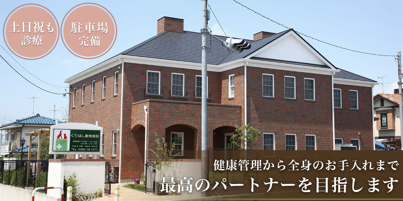 くりはし動物病院