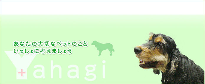やはぎ動物病院