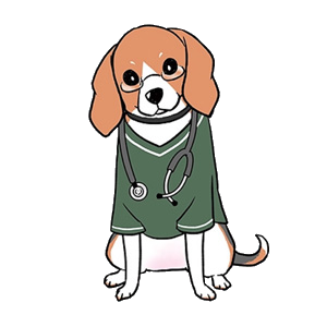 小江戸どうぶつ病院