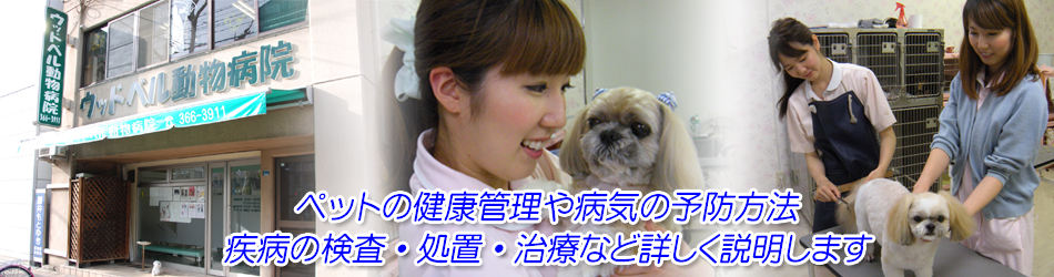 ウッドベル動物病院