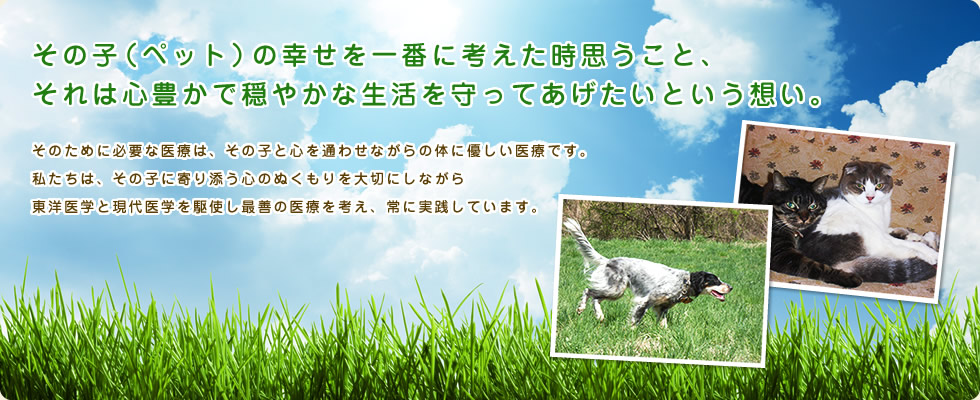 とうほホリスティック動物病院