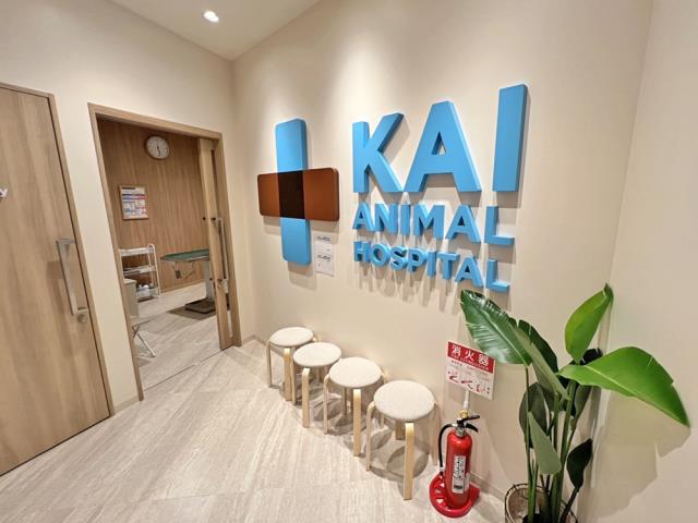 海動物病院　久留米往診所