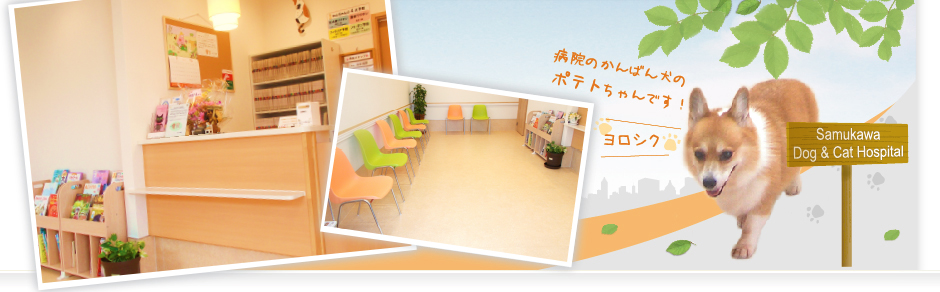 さむかわ犬猫病院