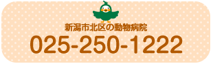 森谷どうぶつたちの病院
