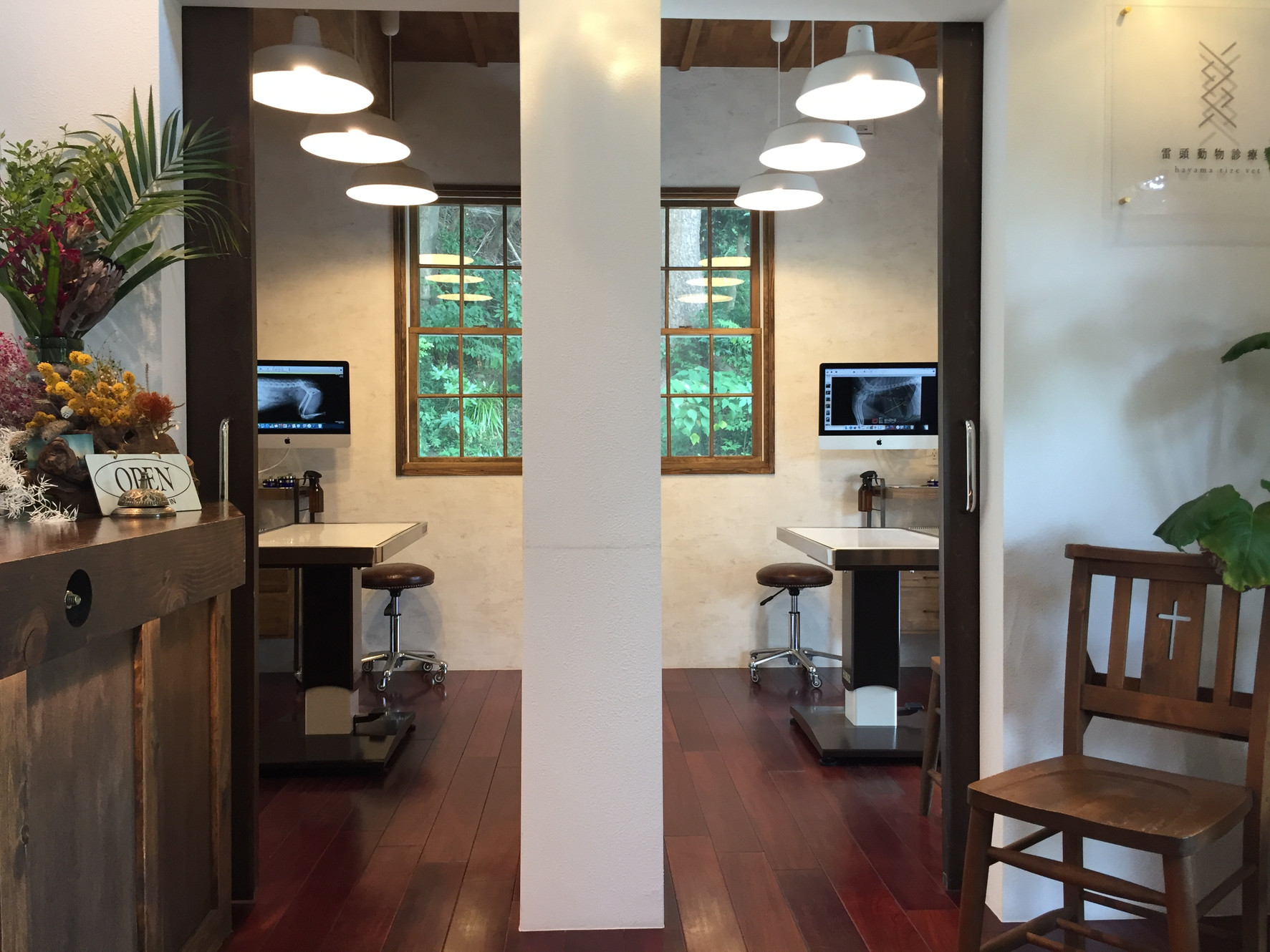 雷頭動物診療室