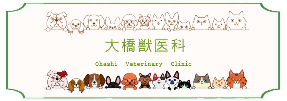 大橋獣医科