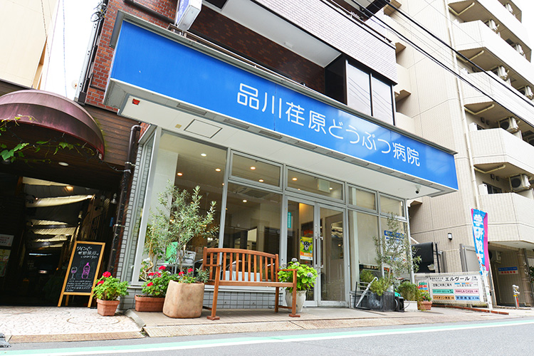 品川荏原どうぶつ病院
