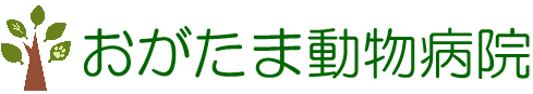 おがたま動物病院