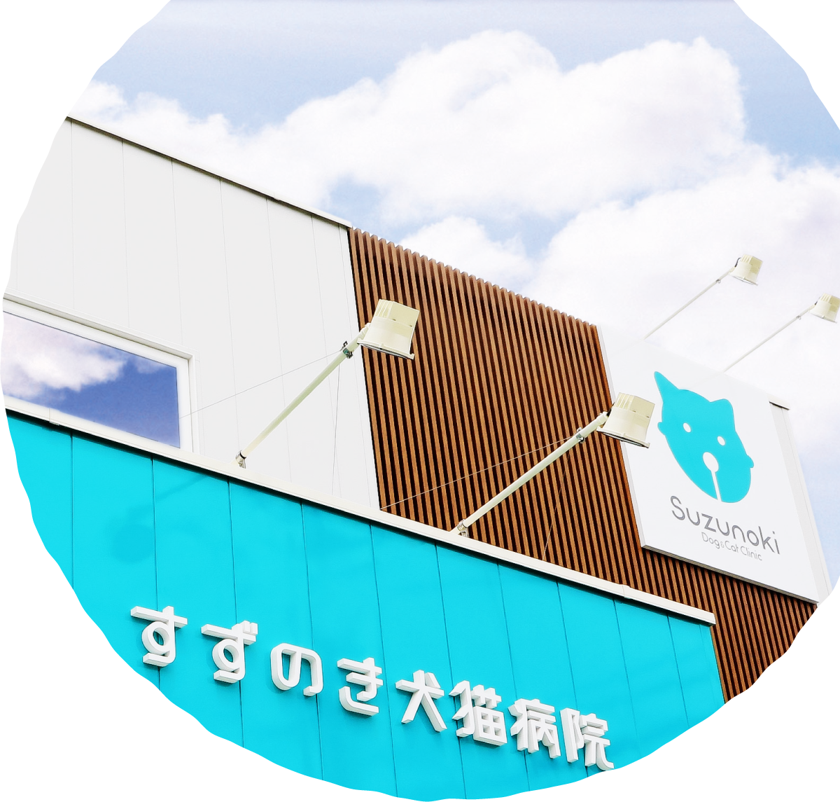 すずのき犬猫病院