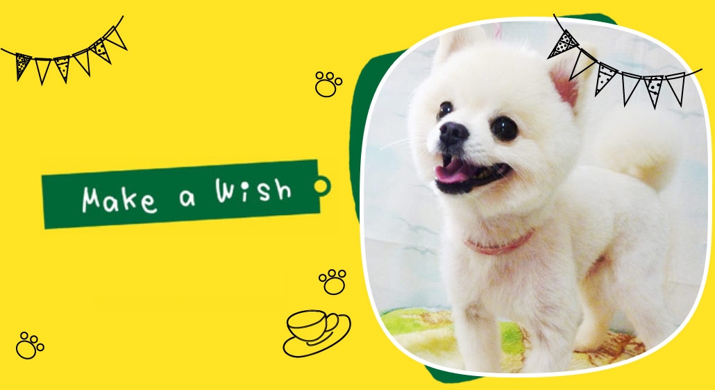 メイク・ア・ウィ...