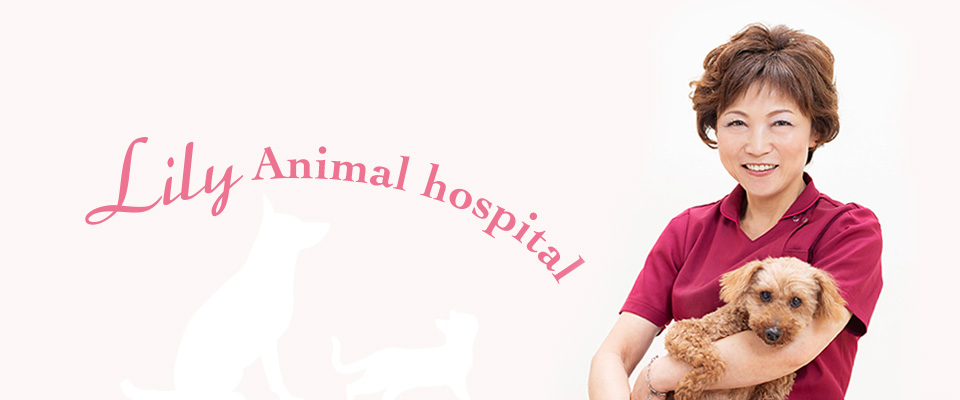 リリー動物病院 東洋医学クリニック