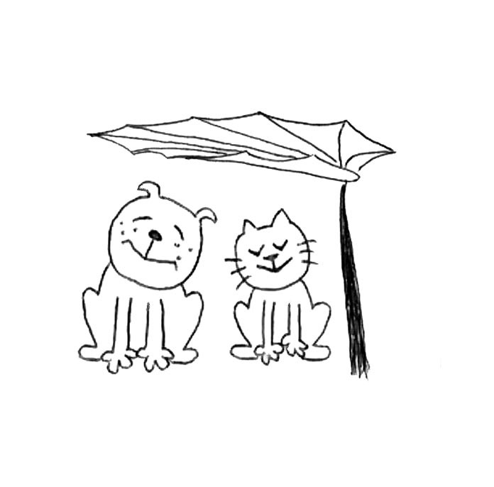 のどか動物病院