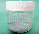 そのだ動物病院