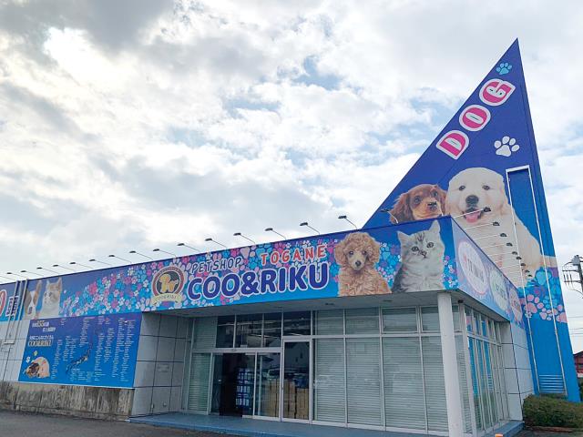 海動物病院　東金往診所