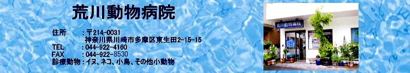 荒川動物病院
