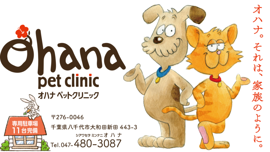 オハナペットクリニック