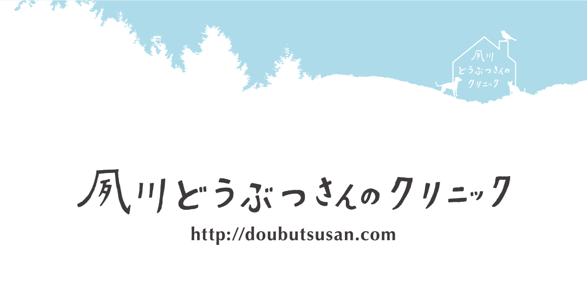 夙川どうぶつさんのクリニック