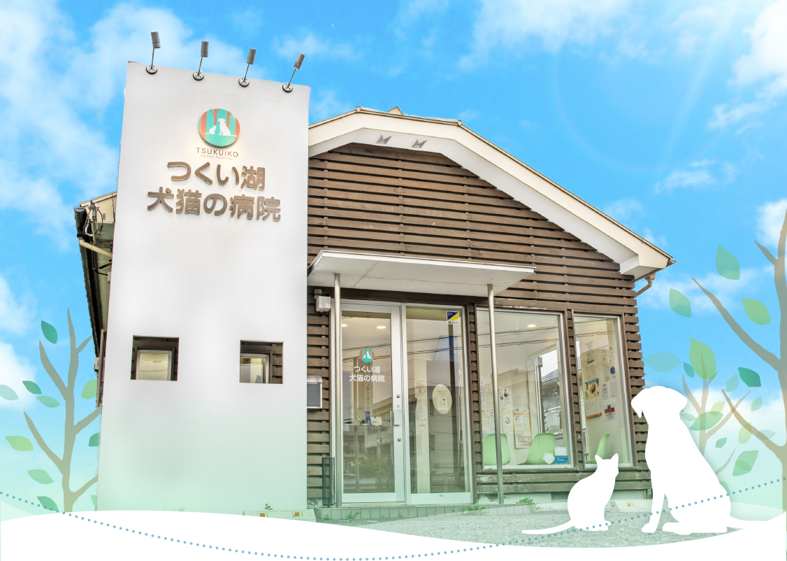 つくい湖犬猫の病院