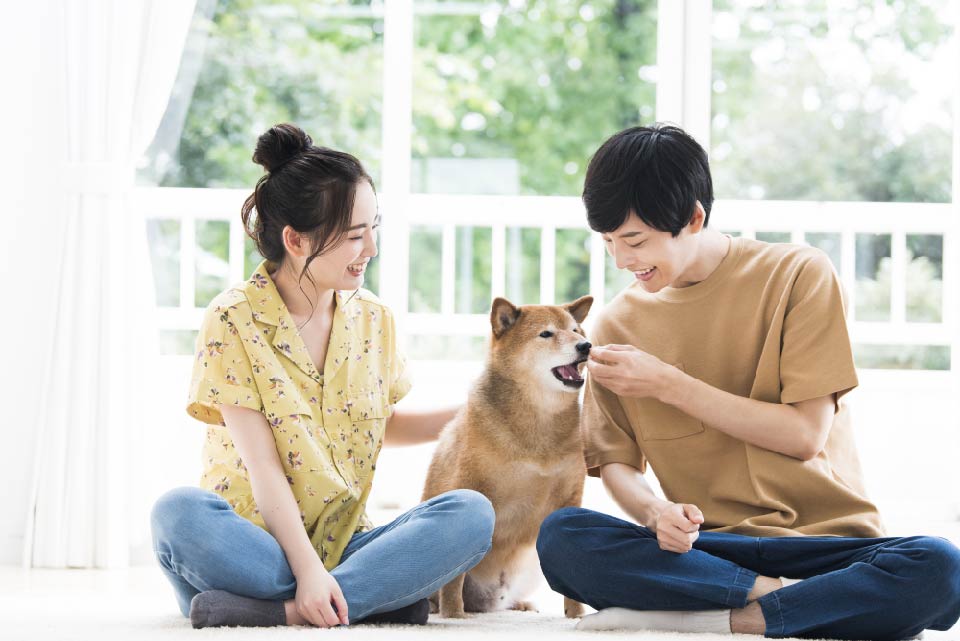 アツキ動物医療センター