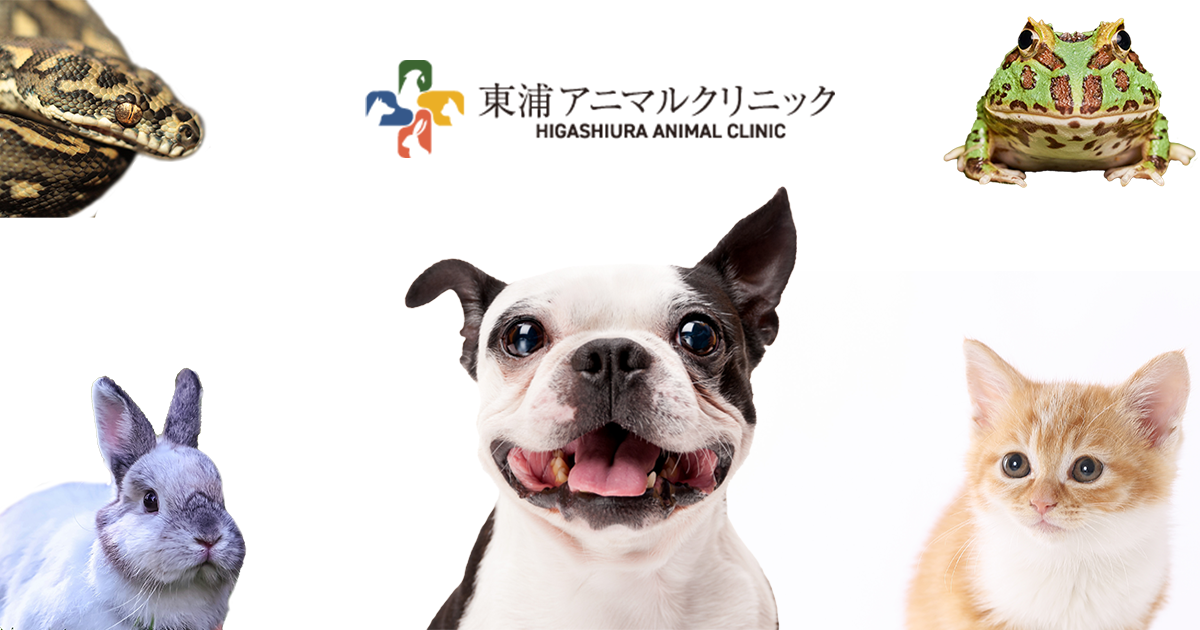 東浦アニマルクリニック
