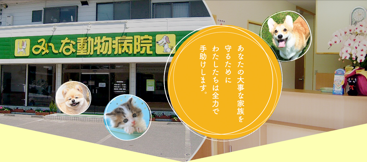 み～な動物病院