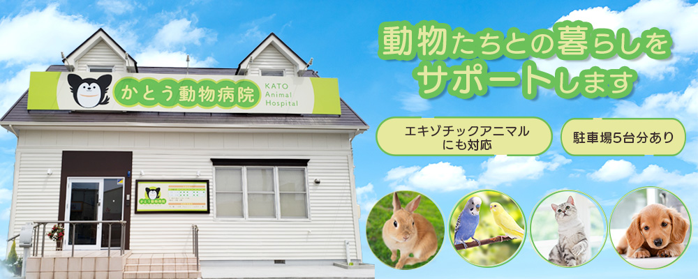 かとう動物病院