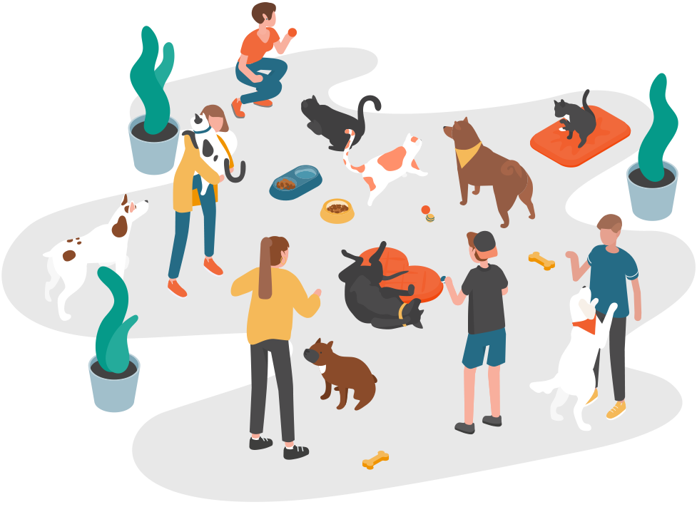 かとう動物病院