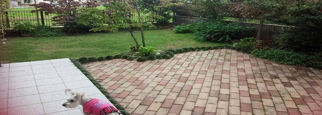 ドッグケアハウスげんちゃん家