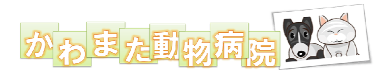 かわまた動物病院