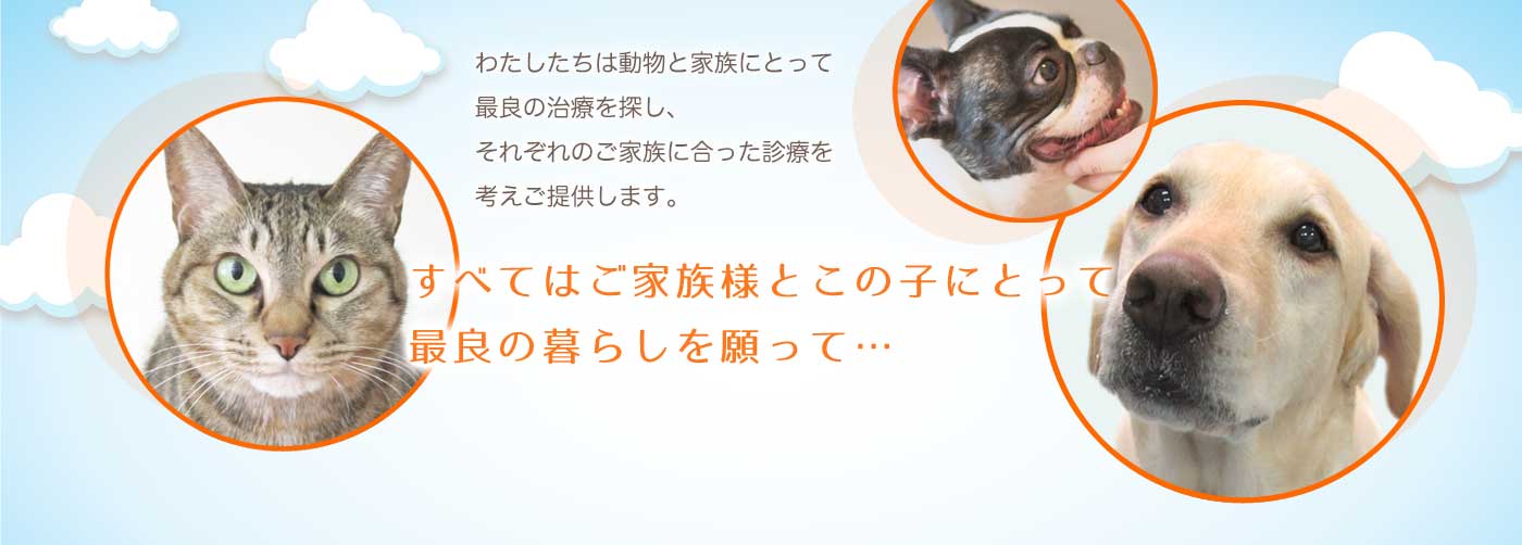 家庭動物診療施設 獣徳会