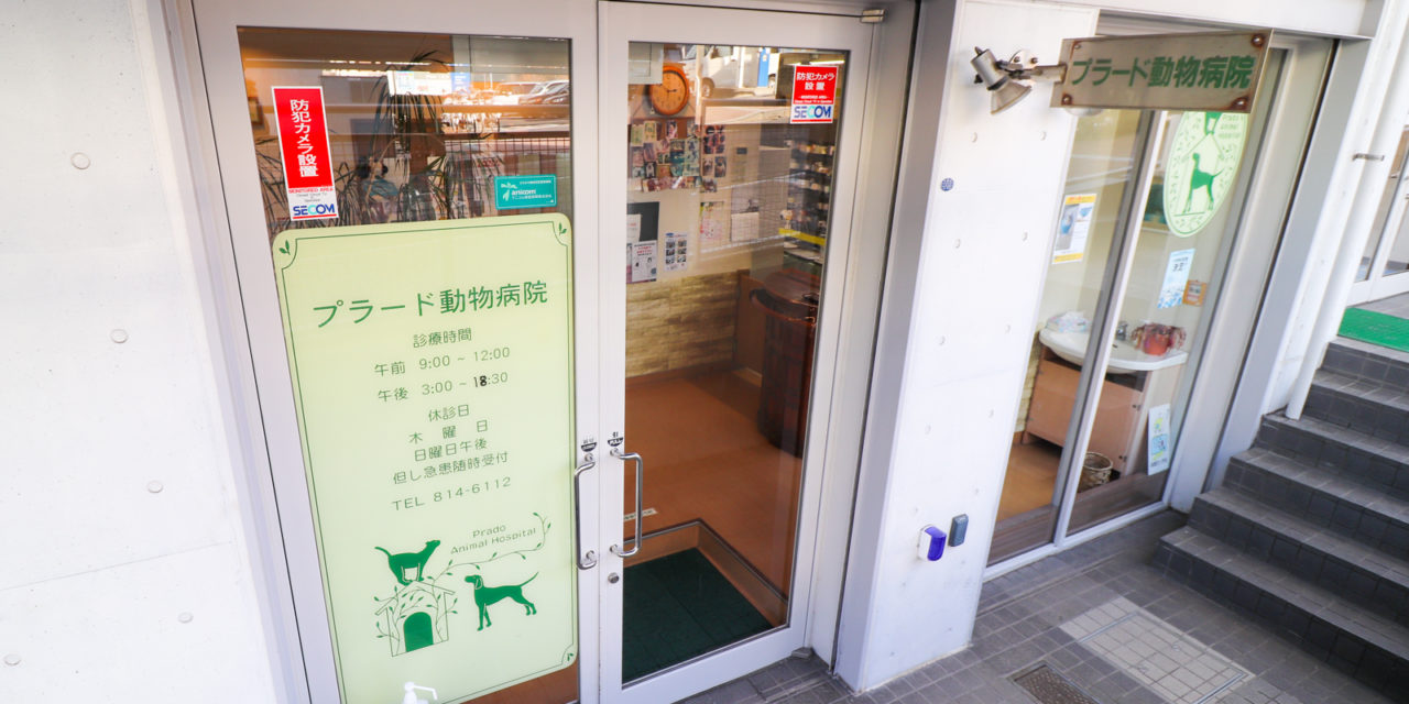 プラード動物病院