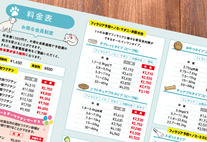 コーナン鎌倉大船どうぶつ病院