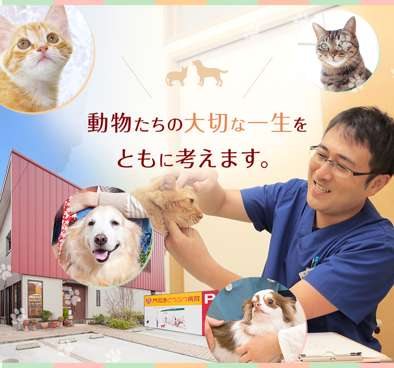 門司港どうぶつ病院