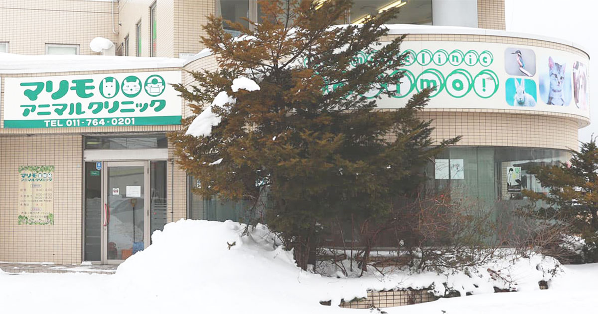 マリモアニマルクリニック