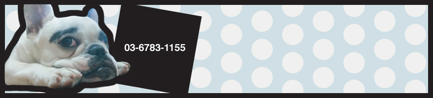 ペットサロンランキンドッグ文京店