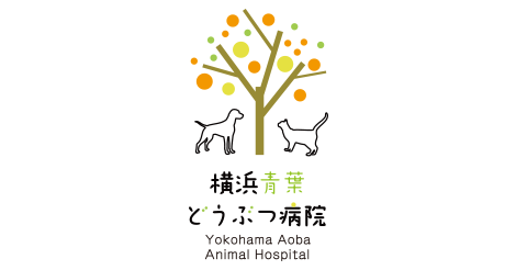 横浜青葉どうぶつ病院