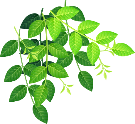 たまい動物病院