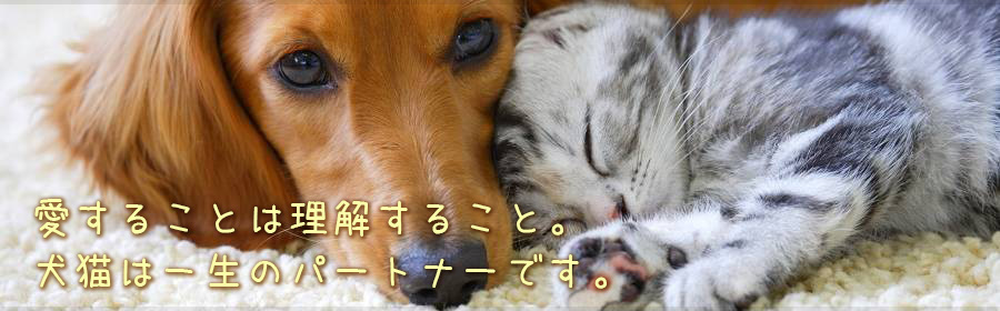 ペットサロン ボストンユニ