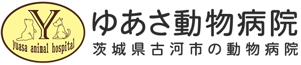 ゆあさ動物病院