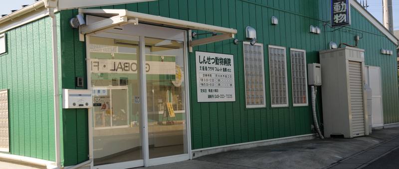 しんせつ動物病院