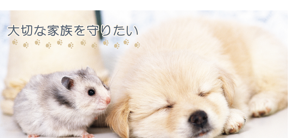 フジカケペットクリニック