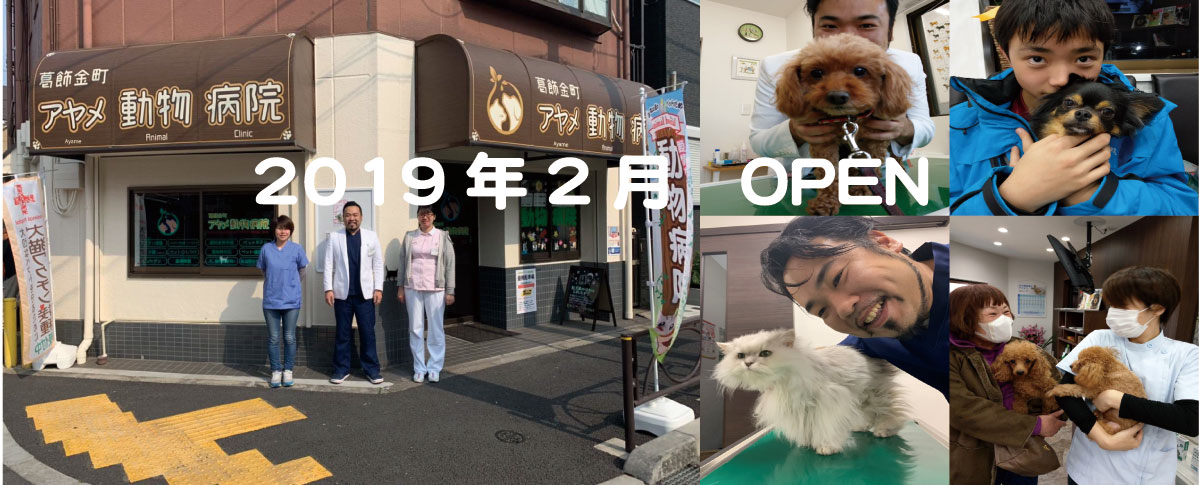 葛飾金町アヤメ動物病院