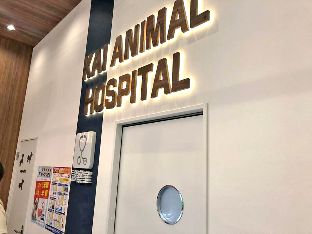 海動物病院　八街往診所