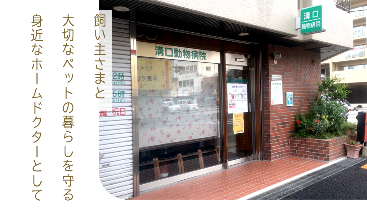 溝口動物病院