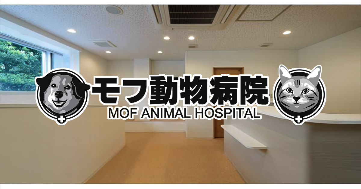 モフ動物病院
