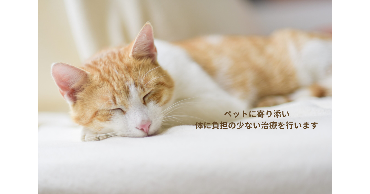 アカラペットクリニック（往診専門）