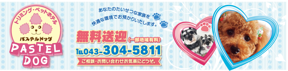 パステルドッグ